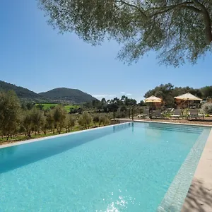 Treurer - Olive Grove & Grand House - Adults Only Hotel